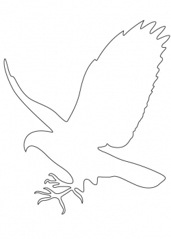 Falcon Outline Images Pictures - Becuo - Clip Art Library