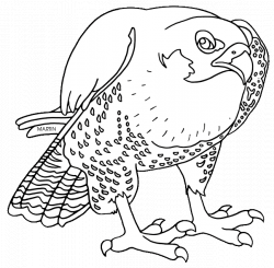 United States Clip Art by Phillip Martin, State Raptor of Idaho ...
