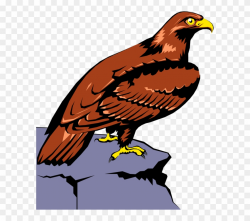 Peregrine Falcon Clipart Realistic Animal - Golden Eagle ...