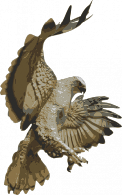 Hawk Pouncing Clipart | i2Clipart - Royalty Free Public Domain Clipart