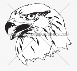 Clip Art Royalty Free Download Falcon Head Clipart - Falcon ...