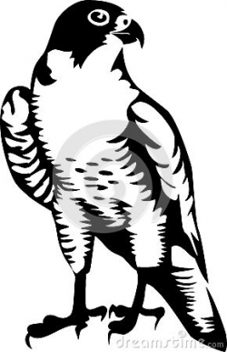 Falcon Clipart - Clip Art