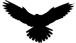 Black Falcon Clipart Transparent Background @ Pngimages.pics