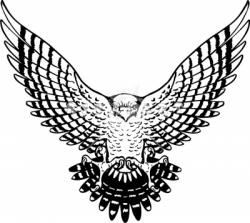 Falcon With Wings Spread | Clipart Panda - Free Clipart Images