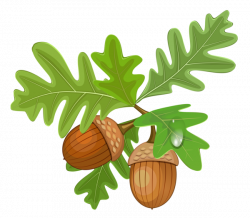 Transparent Leaves with Acorns | Fonts and Printables | Pinterest ...