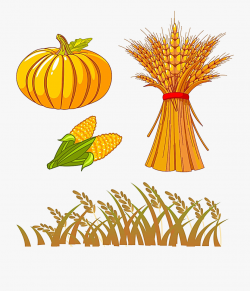 Autumn Clip Art - Fall Harvest Clip Art #508220 - Free ...