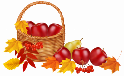 Basket With Fruits And Autumn Leaves Fall Clipart | jokingart.com ...
