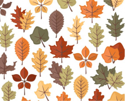 Autumn Leaves Clipart, Fall Clipart, Thanksgiving Clipart ...