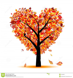 Beautiful Autumn Tree Heart Shape For Your Design - Download ...