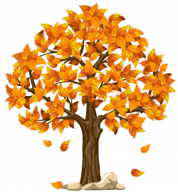 Autumn Tree Clip art - Transparent Fall Orange PNG Clipart Picture ...