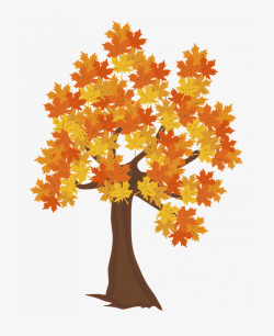 Drawing Fall Autumn Tree - Fall Tree Clipart Transparent ...