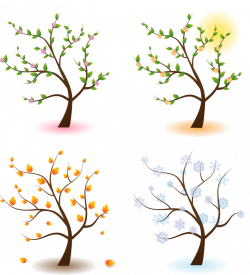 Season Tree Clip art - Vector four seasons blooms 839*923 transprent ...