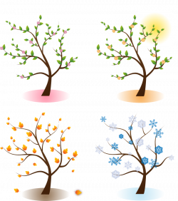 Four Season Trees Png - 3004 - TransparentPNG