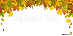 Colorful autumn leaves header - Buy this stock photo and ...