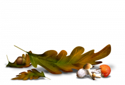 automne - Herbst - autumn - hösten - clipart - halloween