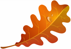 Fall Orange Leaf PNG Clipart Image | Gallery Yopriceville - High ...