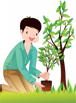 Tree - Planting trees Man 2244*3042 transprent Png Free Download ...