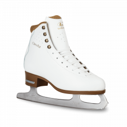 Ice Skate Image PNG Transparent Ice Skate Image.PNG Images. | PlusPNG