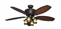 bronze ceiling fan with light for House | Plexus Review Design