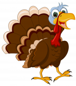 Black turkey Cartoon Turkey meat Clip art - Farm Turkey Cliparts ...
