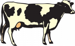 Cow PNG image, free cows PNG picture download