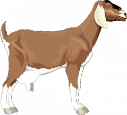 Quality Clip Art of Animals That Live On A Farm | Clip art and Farming