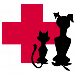 Our Clinic – Kelly Vets Athenry