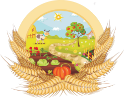 Kitchen garden Vegetable farming Clip art - Cartoon wheat material ...