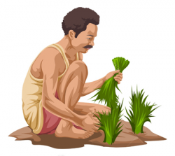 Indian farmers clipart 9 » Clipart Station