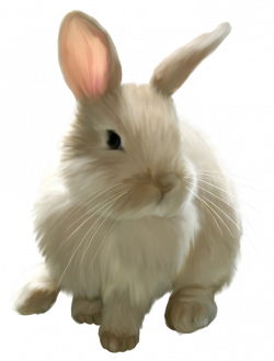 Cute Painted Bunny PNG Picture Clipart | Rabbits | Pinterest | Bunny ...