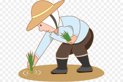 Farmer Rice Paddy Field Clip art - farmer png download - 631*600 ...