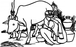 An Indian Farmer Milking Cow Coloring Pages | Acrylic ...