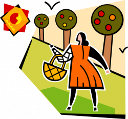Farm Orchard Worker with Harvest - Vector Image