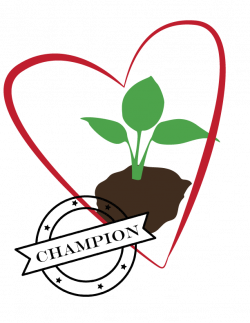 Soil Health Champion stories inspire and inform - NACD