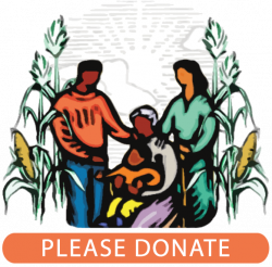 Projects in Mexico — Center for Farmworker Families