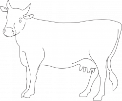 Cow Cattle Livestock Farm transparent image | Cow | Pinterest