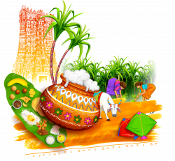 28+ Collection of Thai Pongal Clipart | High quality, free cliparts ...