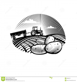 Potato Against Farm Tractor In A Field Royalty Free Stock ...
