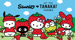 Spring into Strawberry Season with Sanrio and Tanaka Farms ...