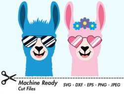 Cute Llama SVG Cut Files, PNG llamas clipart, farmhouse clip art, happy  llama face, boy, girl, printable ranch animal vector, llama head