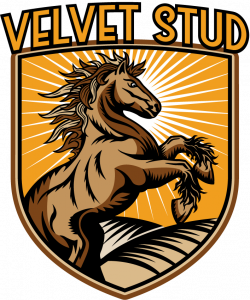 Plow Horse - Brewery Vivant