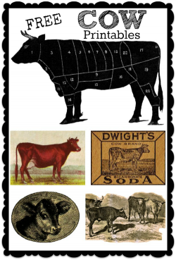 Free Printables - Antique Cow Image Advertisement Transfer Projects ...