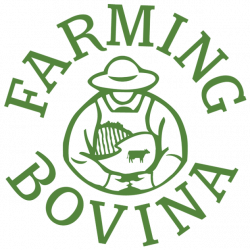 Farming Bovina