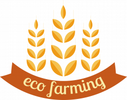 Common wheat Agriculture Logo Farm - Wheat label design 3345*2632 ...