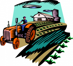 Farmer with Tractor in Fields - Vector Image