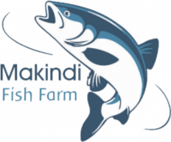 Makindi Fish Farm