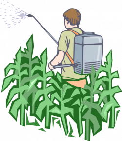 Farmer Applies Insecticide to Crop - Vector Image