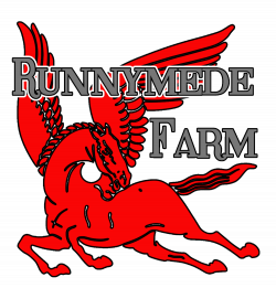 Runnymede Farm: Dressage Training — Runnymede Farm