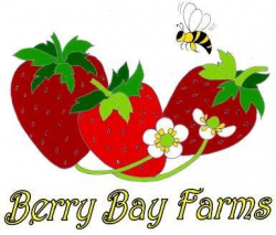 Berry Bay Farm | Lakeland Mom