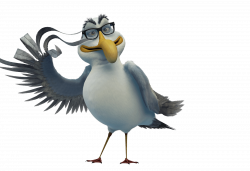 Socrates Seagull | Creative Thoughts Wiki | FANDOM powered by Wikia